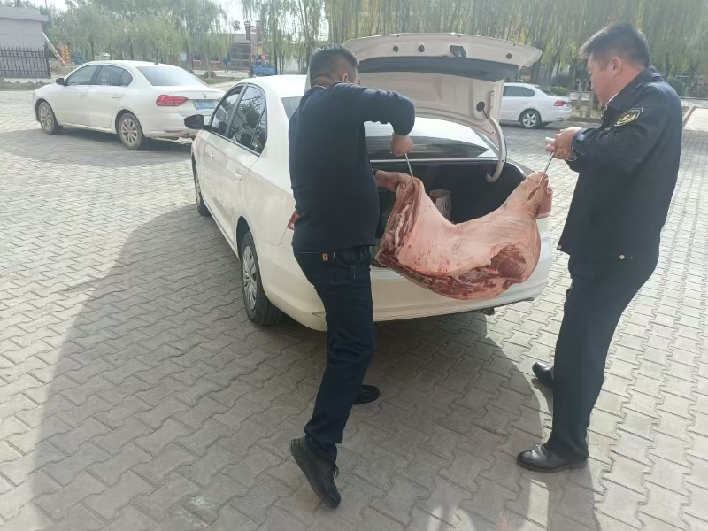 女人与公狍交酡女免费