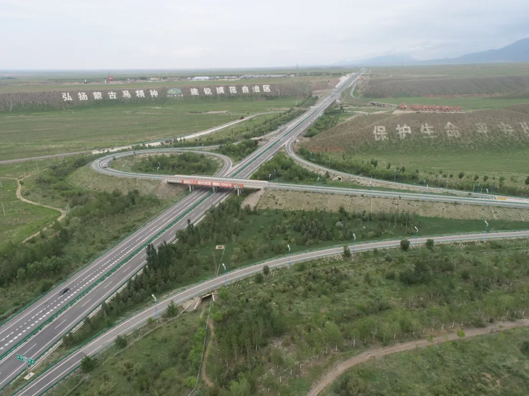 女人与公狍交酡女免费