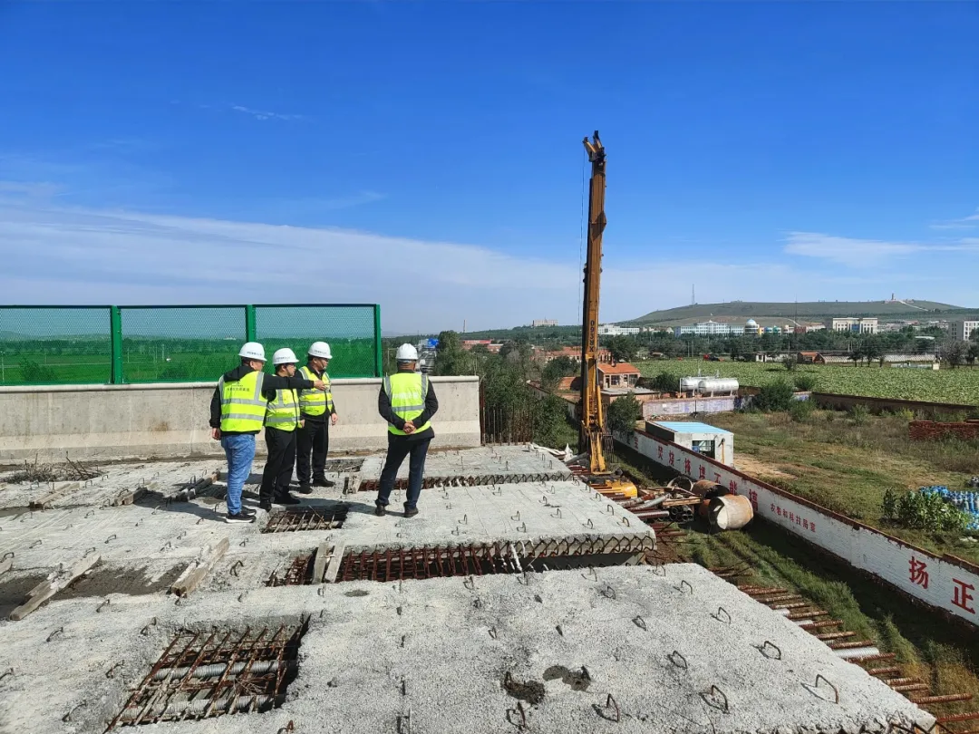 女人与公狍交酡女免费