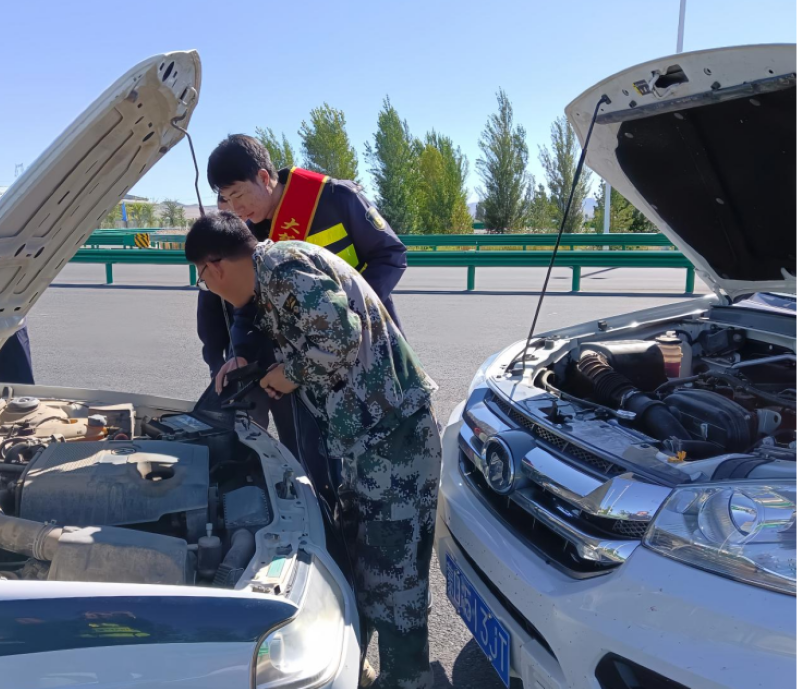 女人与公狍交酡女免费