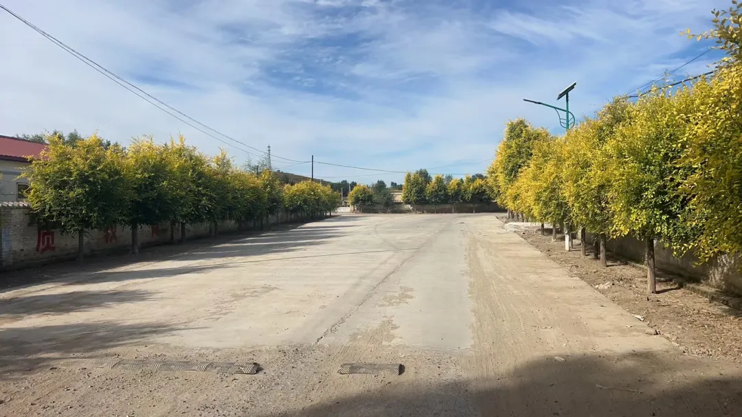 女人与公狍交酡女免费