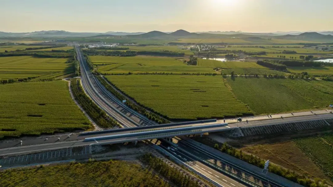女人与公狍交酡女免费