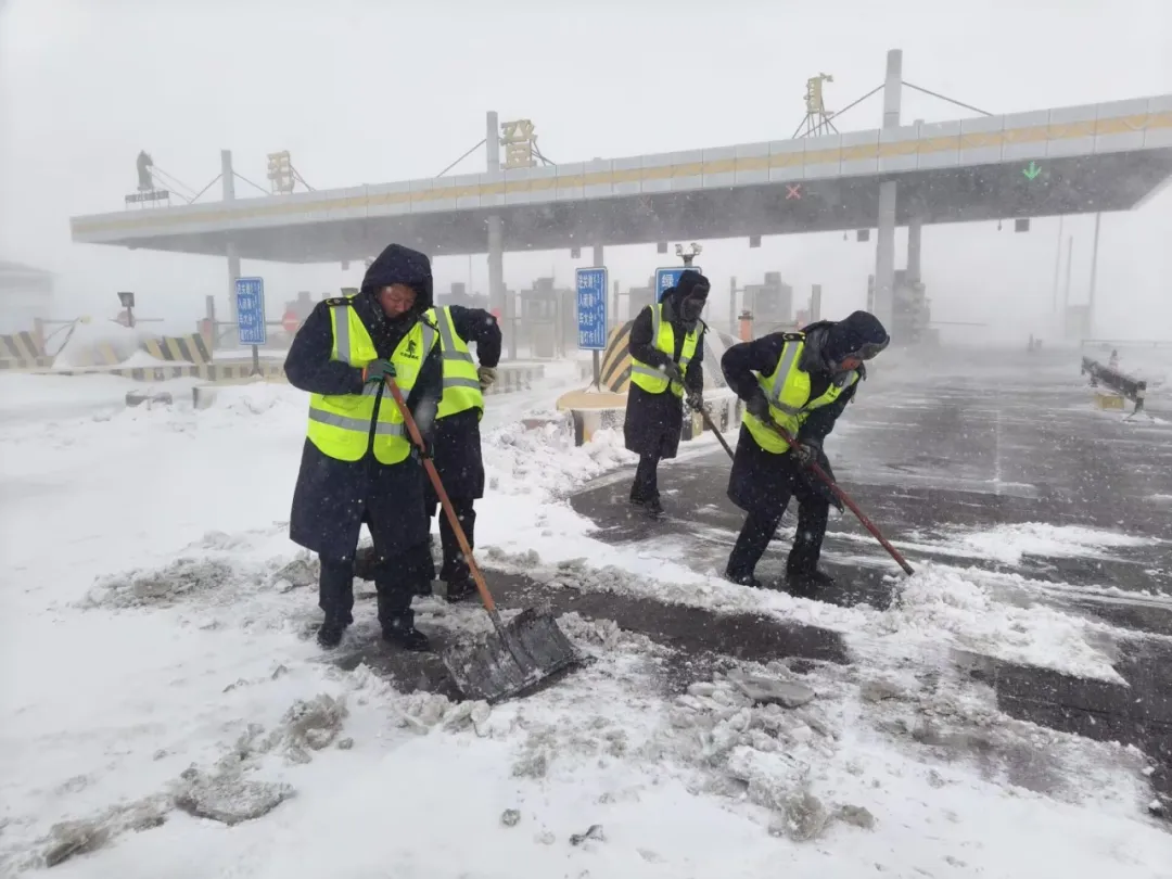女人与公狍交酡女免费
