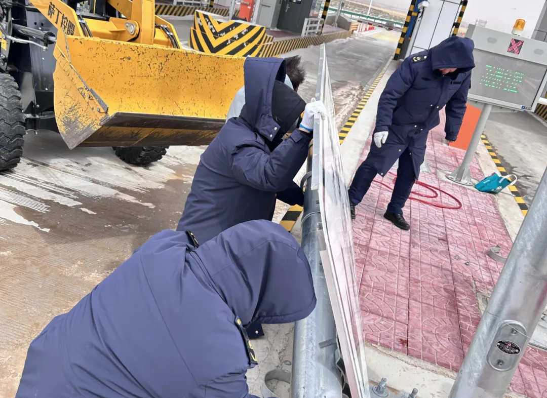 女人与公狍交酡女免费