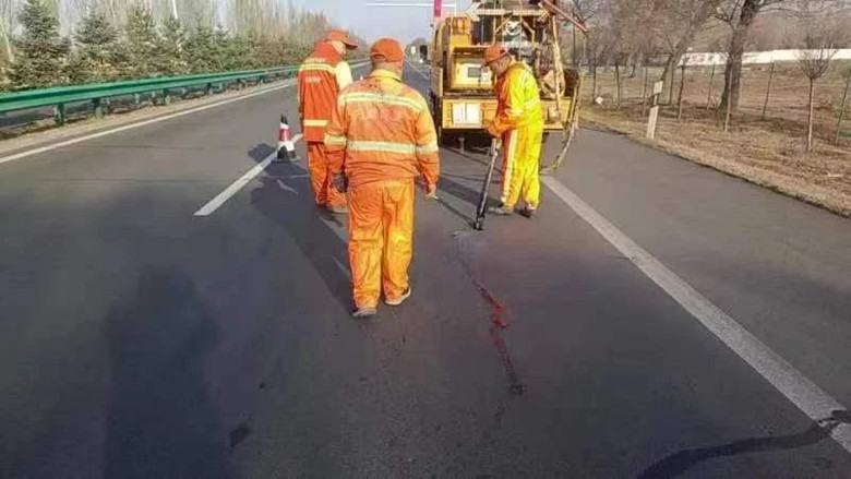 女人与公狍交酡女免费