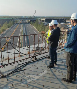 女人与公狍交酡女免费