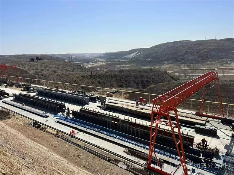 女人与公狍交酡女免费