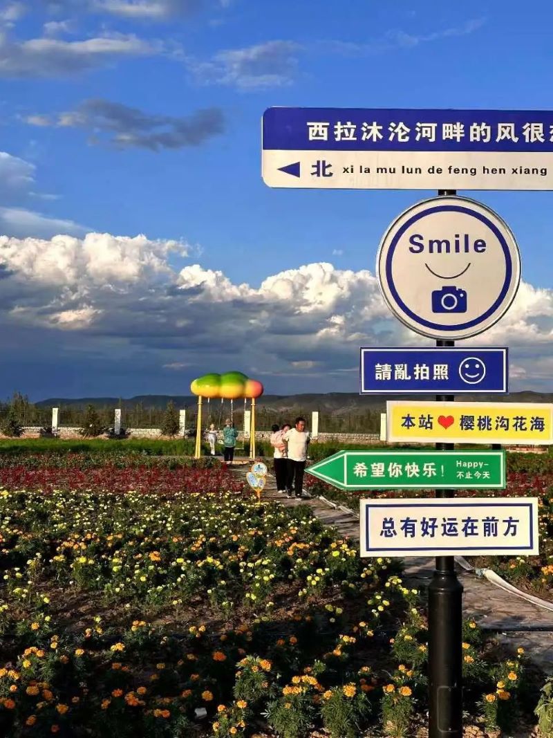 女人与公狍交酡女免费