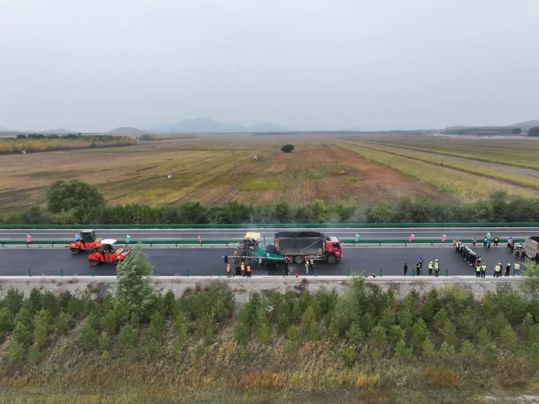 女人与公狍交酡女免费
