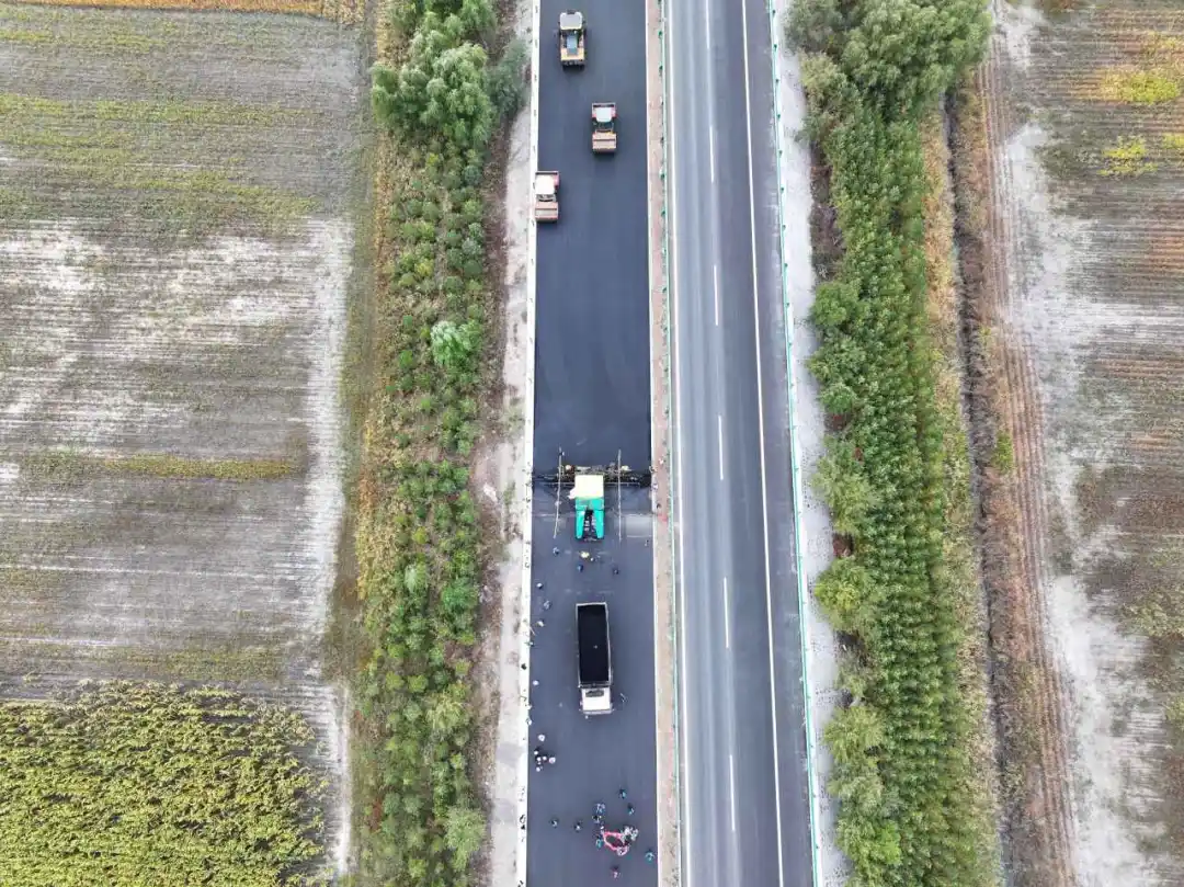 女人与公狍交酡女免费