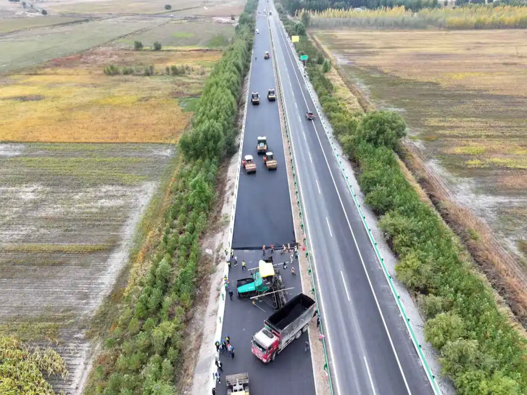女人与公狍交酡女免费