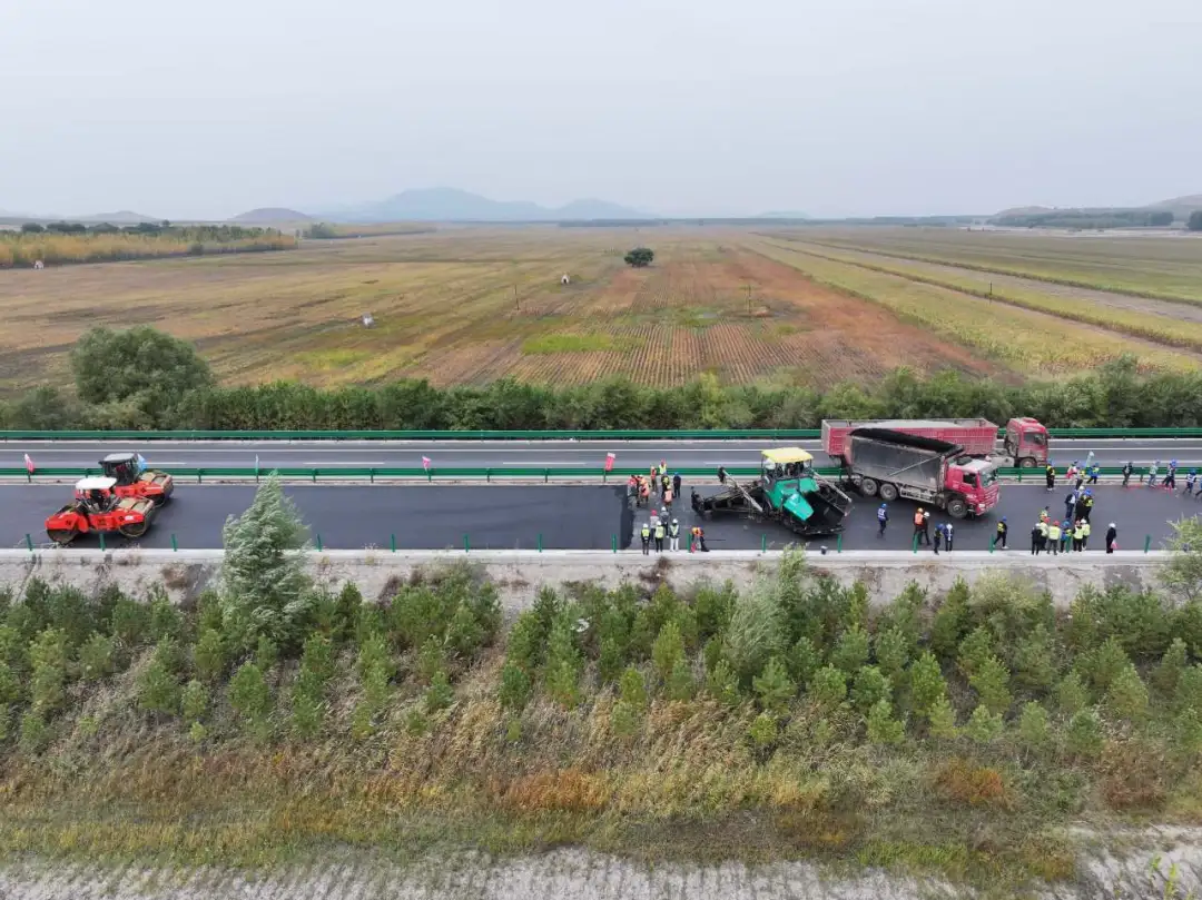 女人与公狍交酡女免费