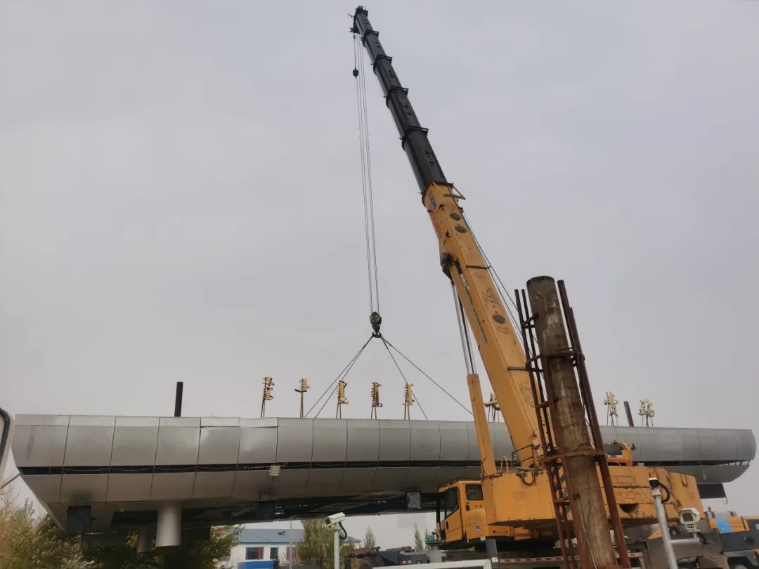 女人与公狍交酡女免费