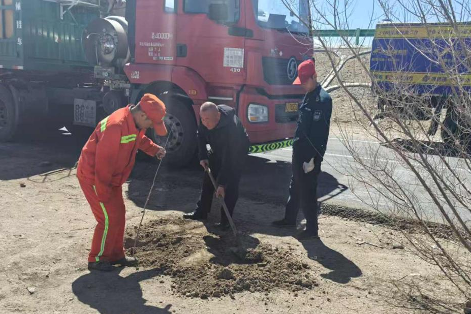 女人与公狍交酡女免费