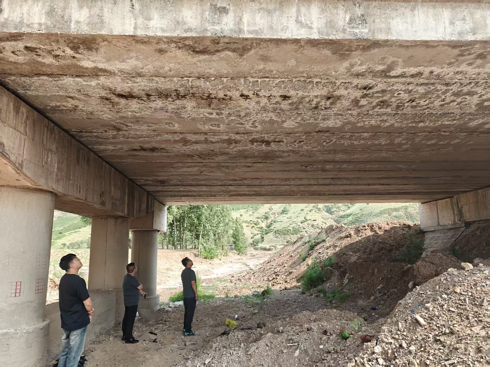 女人与公狍交酡女免费