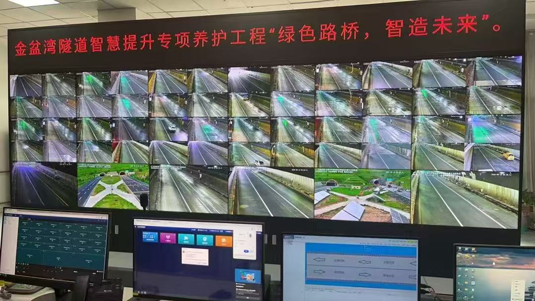 女人与公狍交酡女免费