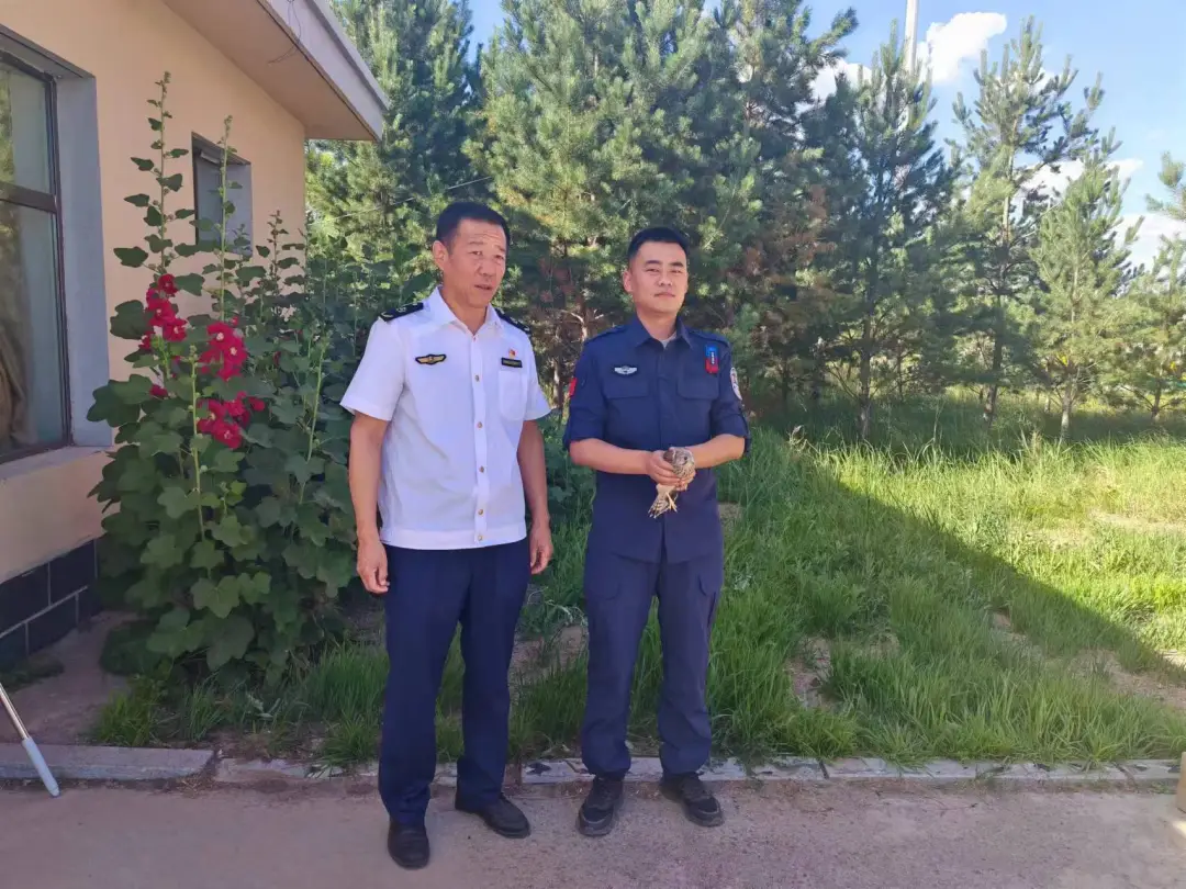 女人与公狍交酡女免费