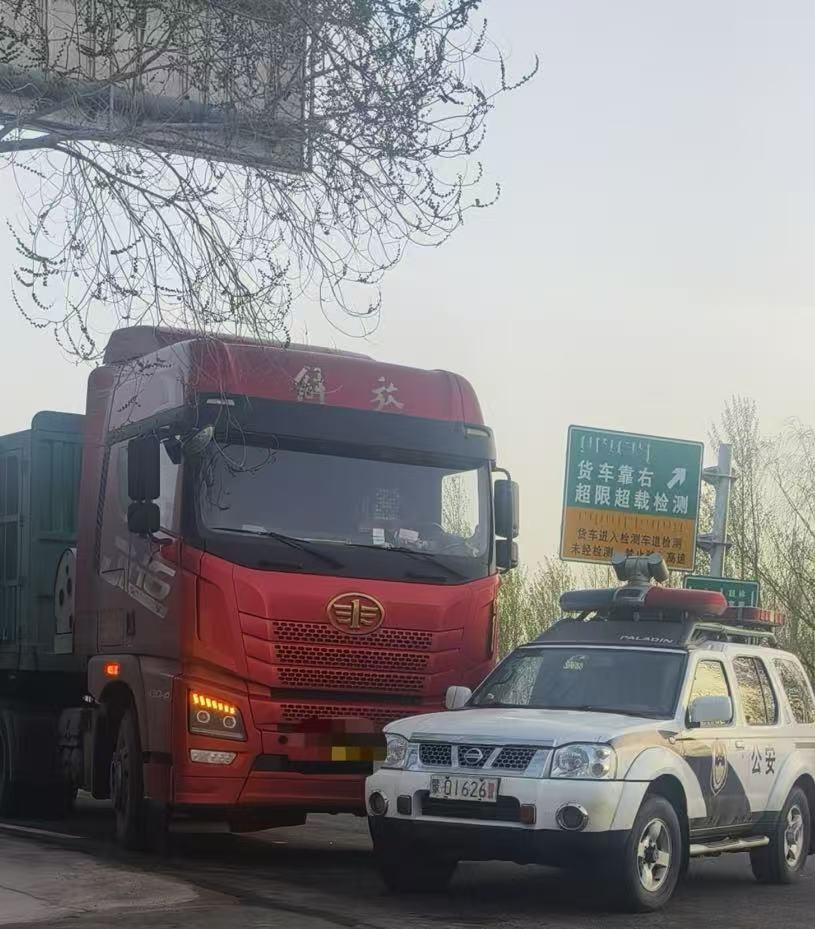 女人与公狍交酡女免费