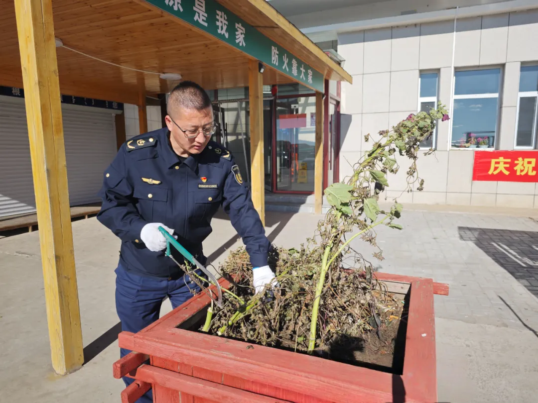 女人与公狍交酡女免费