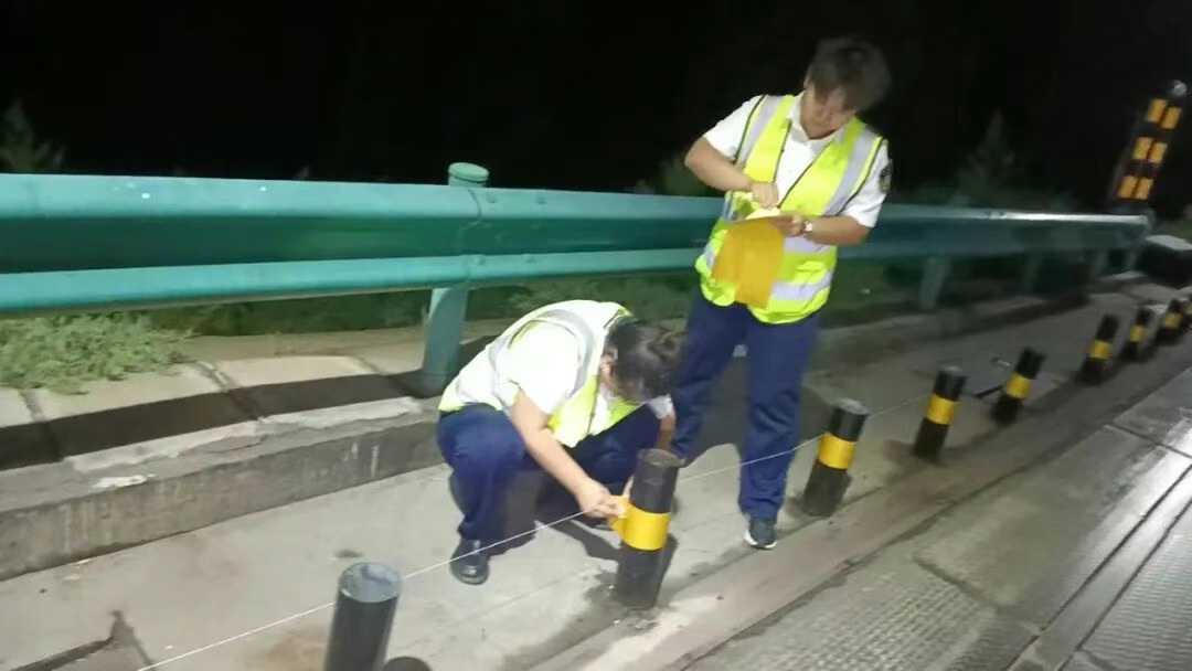 女人与公狍交酡女免费