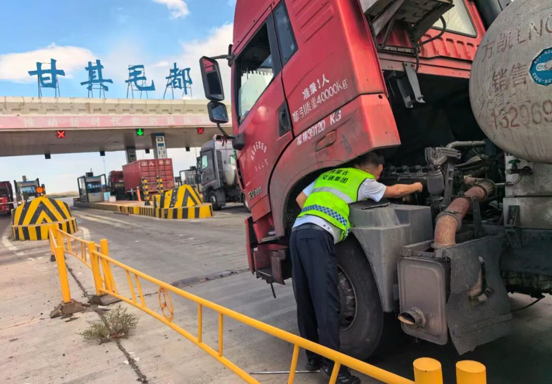 女人与公狍交酡女免费