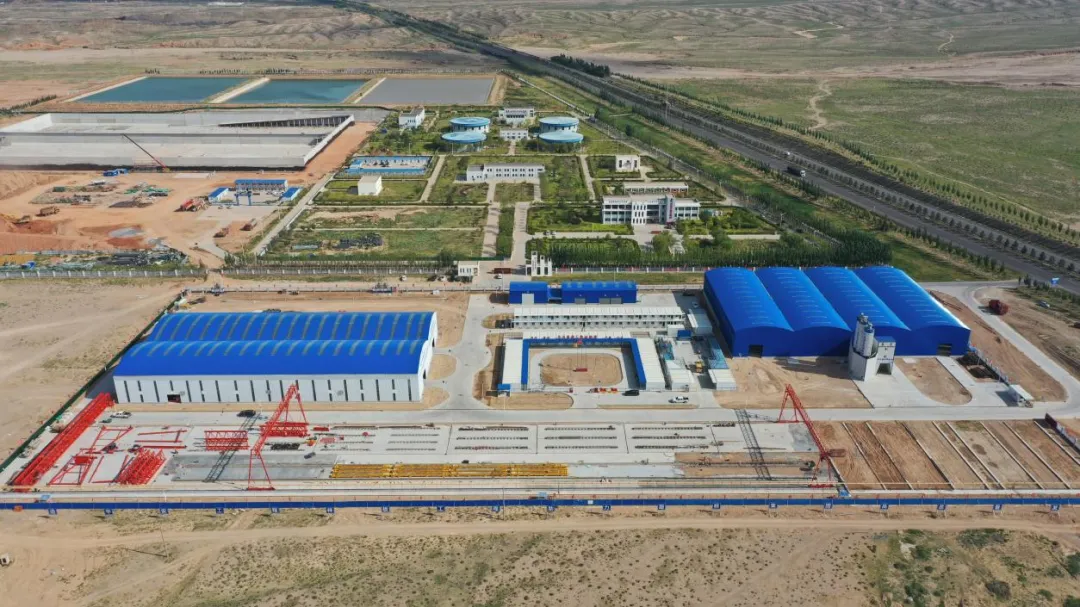 女人与公狍交酡女免费