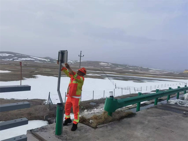 女人与公狍交酡女免费