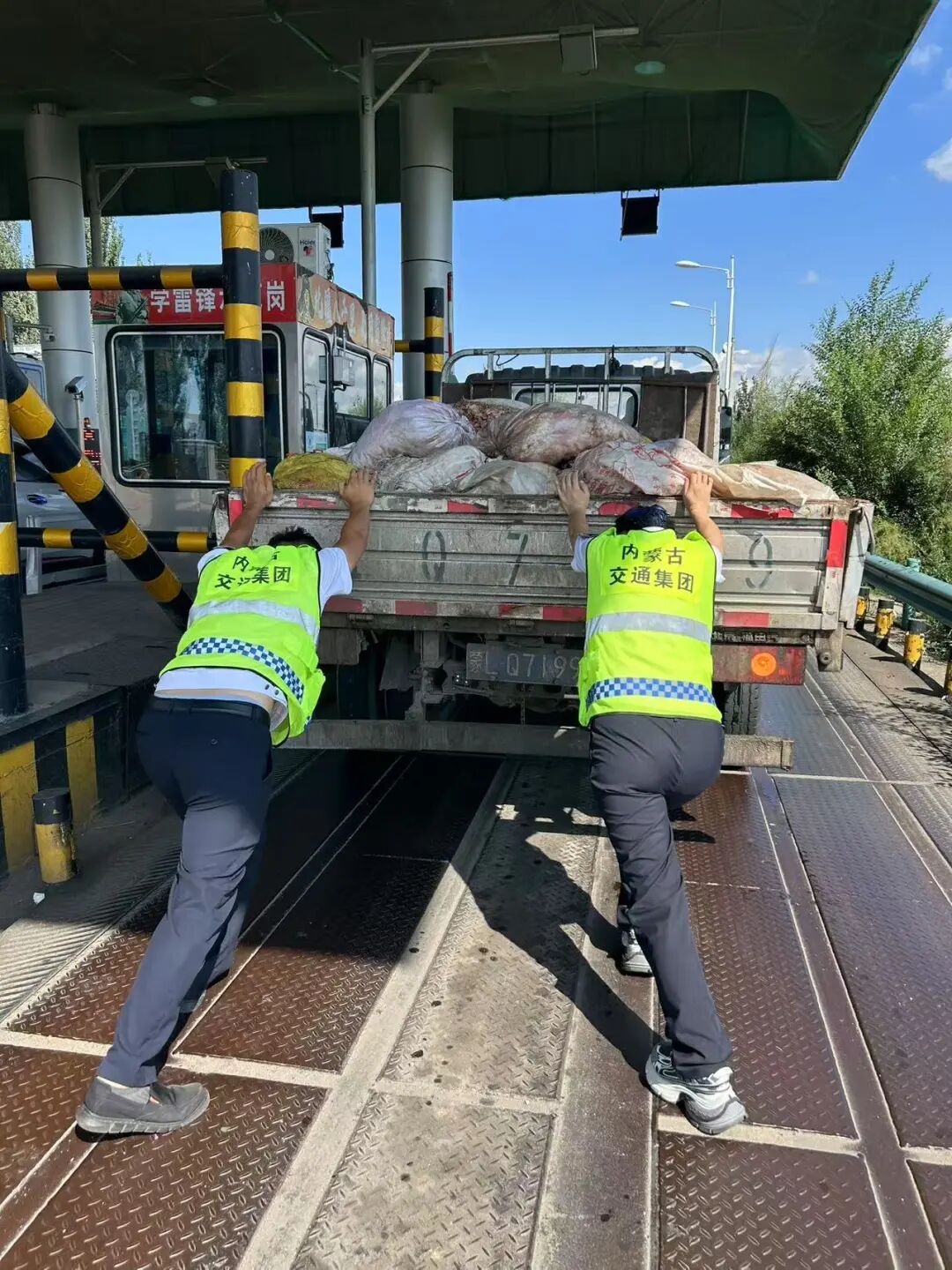 女人与公狍交酡女免费