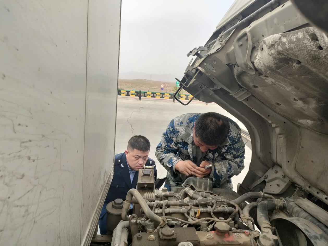 女人与公狍交酡女免费