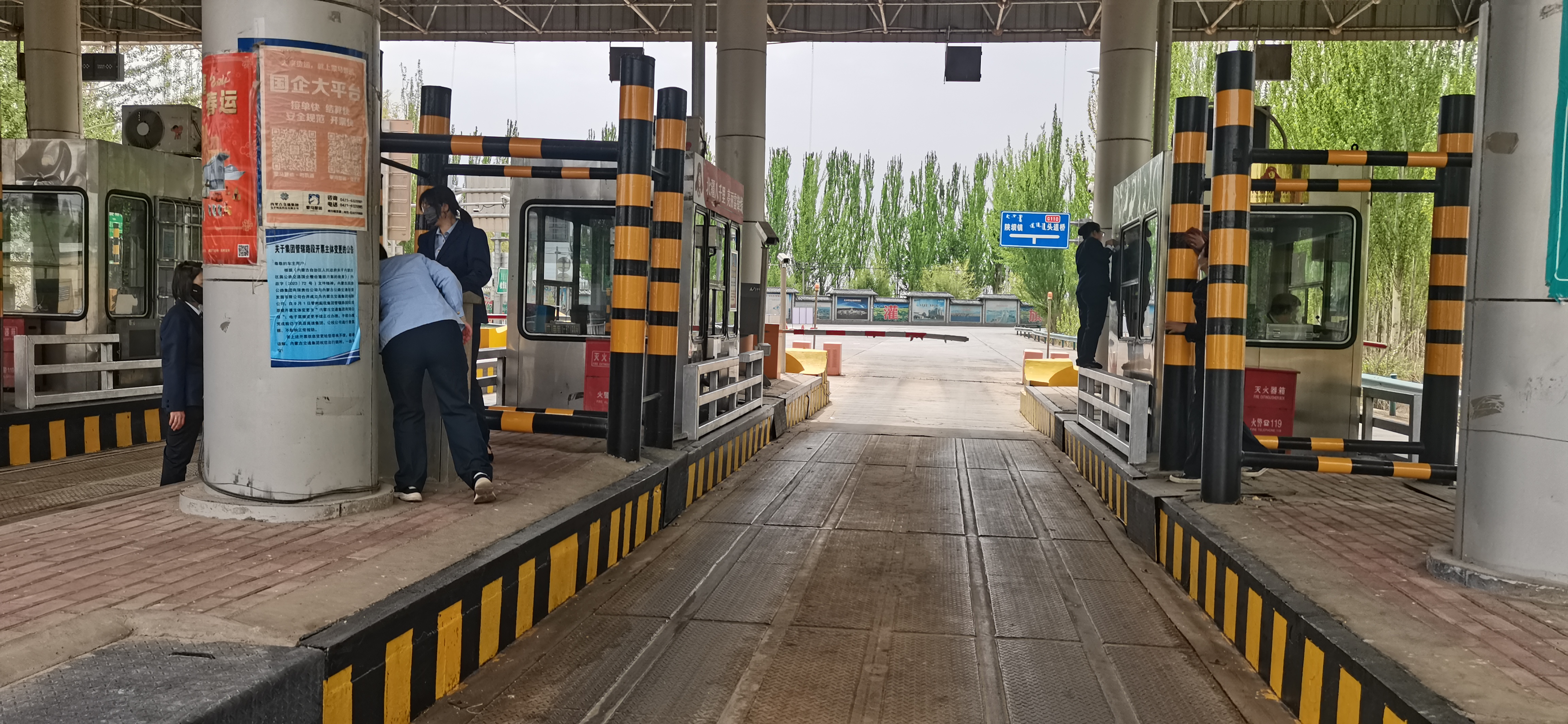 女人与公狍交酡女免费