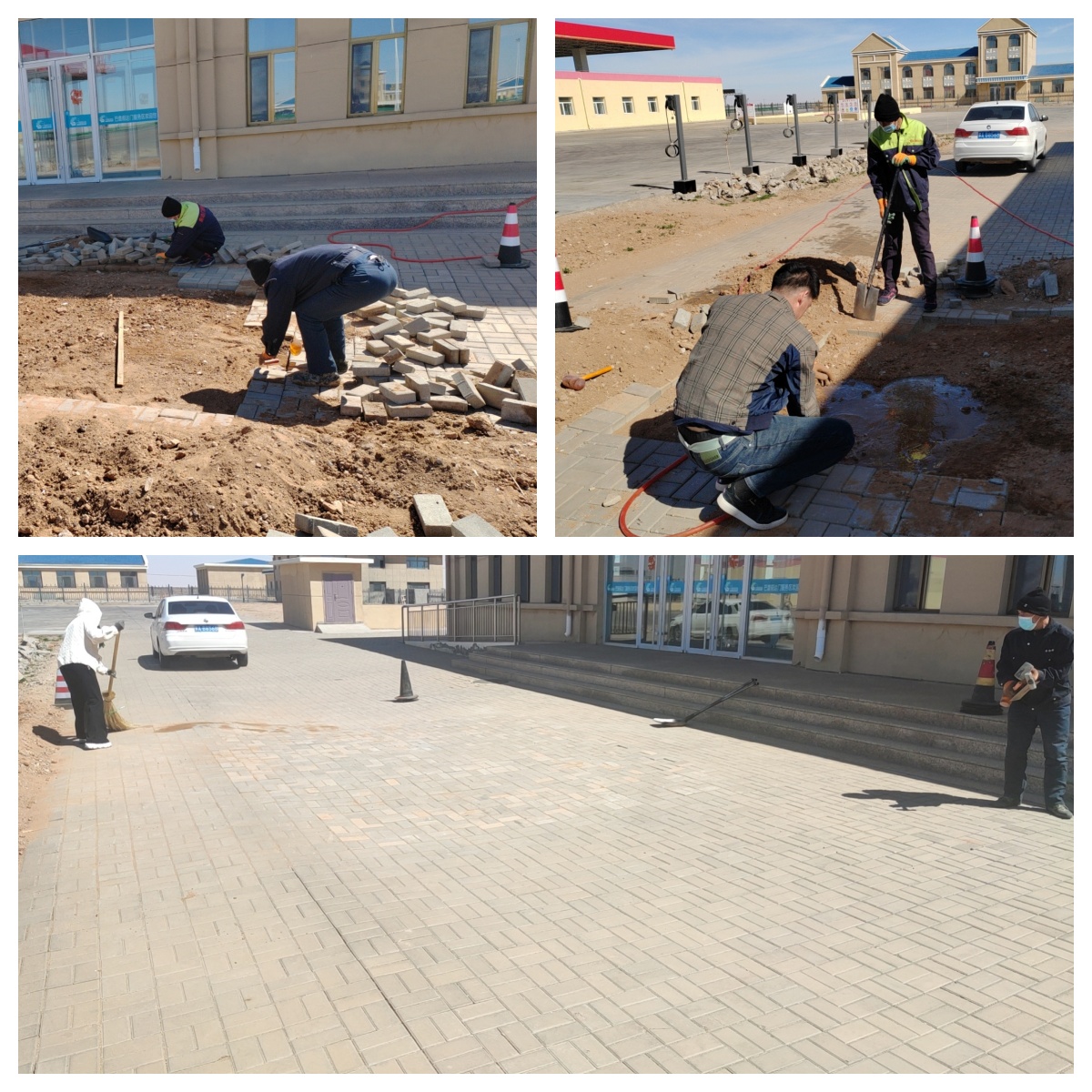 女人与公狍交酡女免费