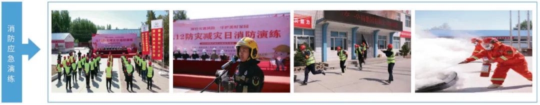 女人与公狍交酡女免费