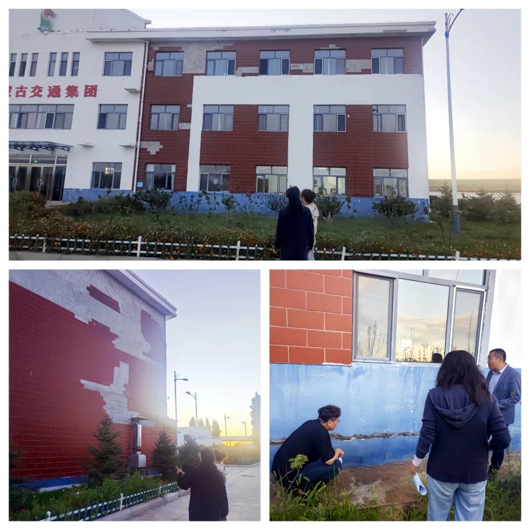 女人与公狍交酡女免费