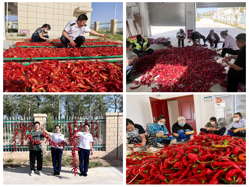 女人与公狍交酡女免费