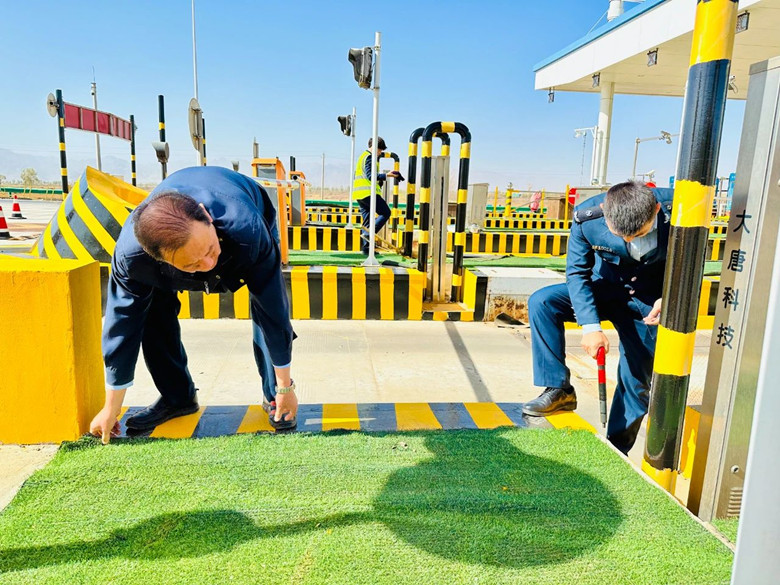 女人与公狍交酡女免费