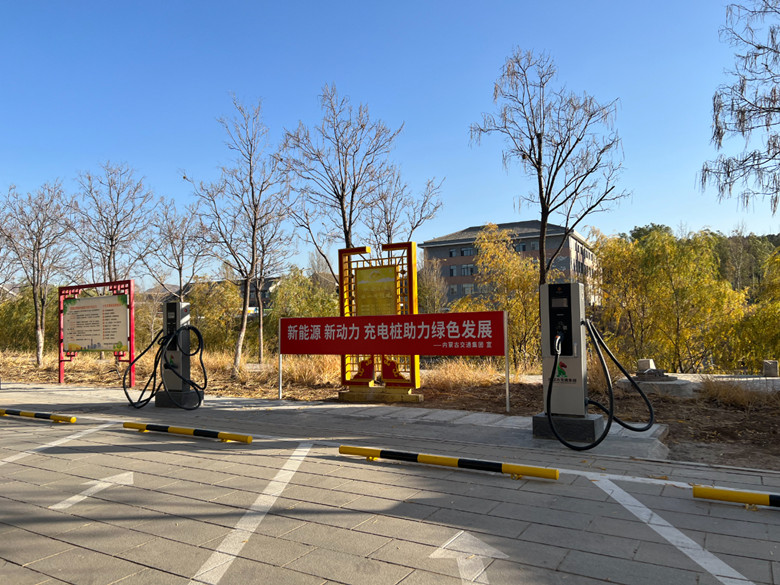 女人与公狍交酡女免费