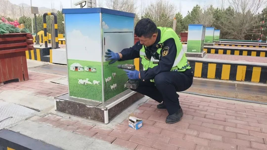 女人与公狍交酡女免费