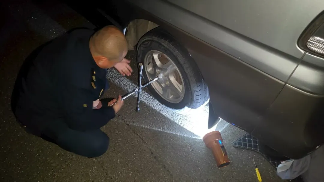 女人与公狍交酡女免费