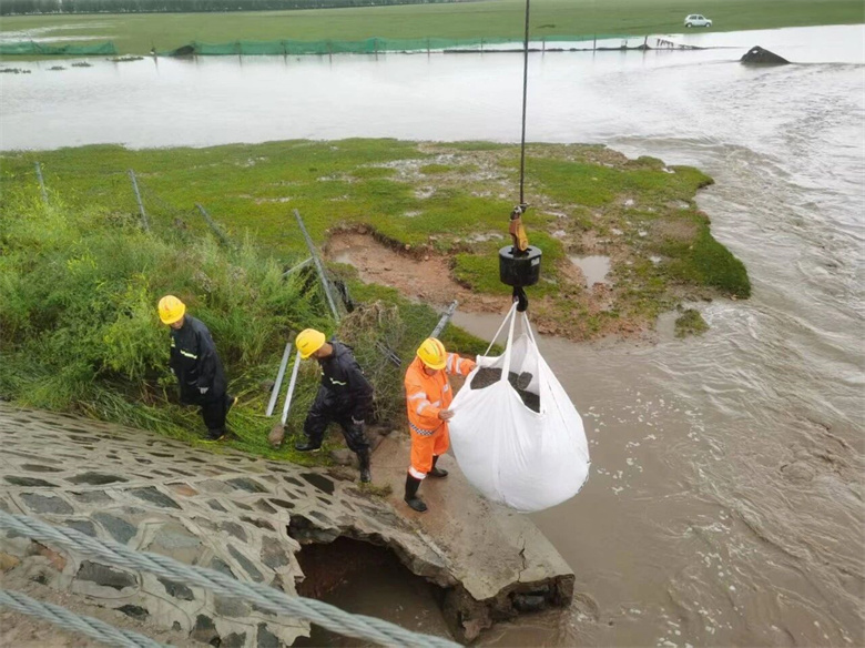 女人与公狍交酡女免费