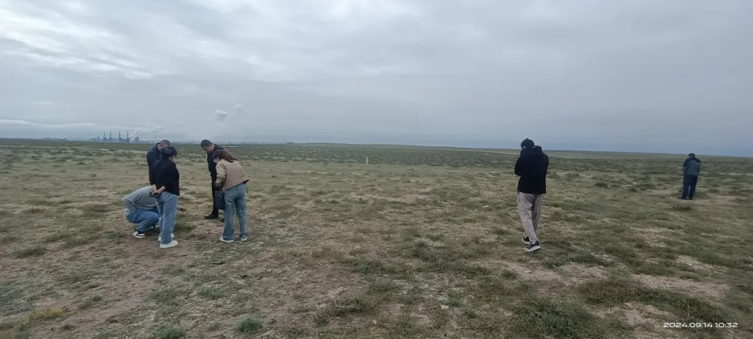 女人与公狍交酡女免费