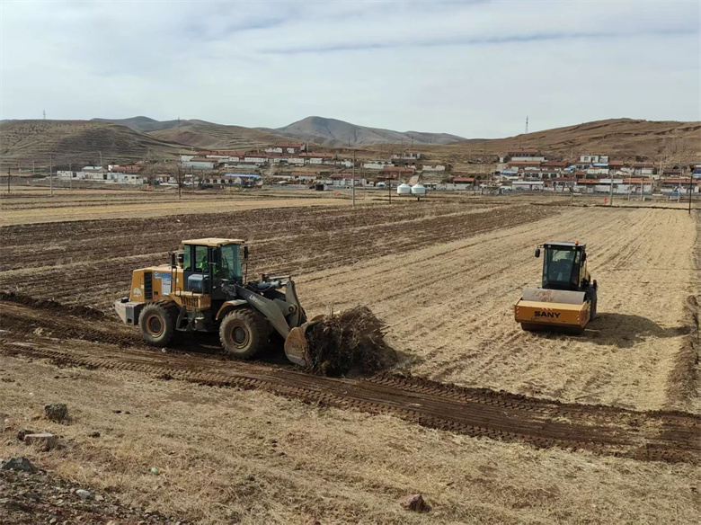 女人与公狍交酡女免费