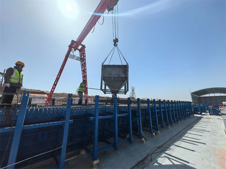 女人与公狍交酡女免费