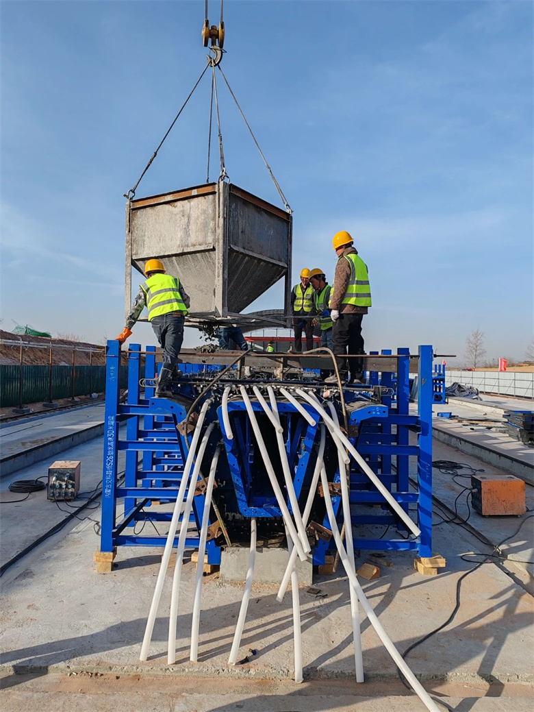 女人与公狍交酡女免费