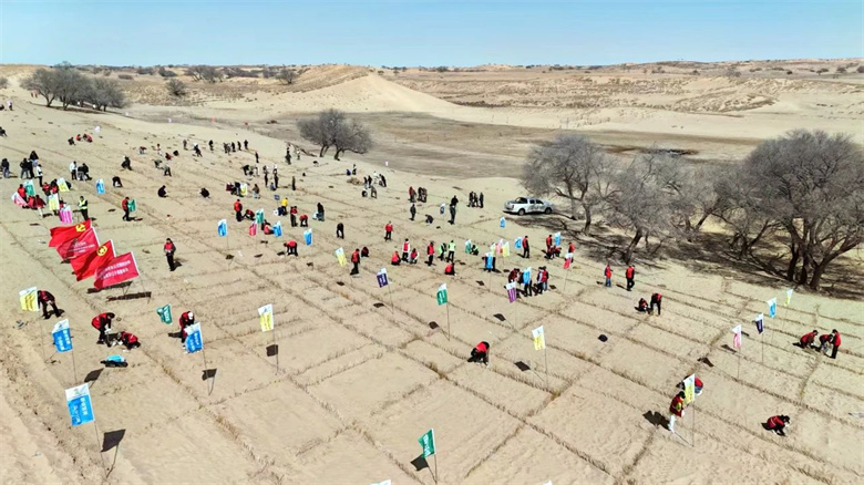 女人与公狍交酡女免费