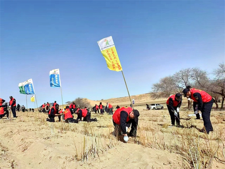女人与公狍交酡女免费