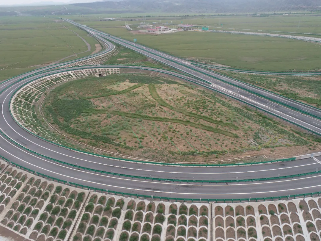 女人与公狍交酡女免费