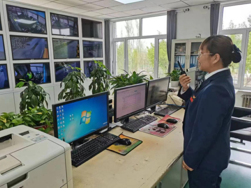 女人与公狍交酡女免费