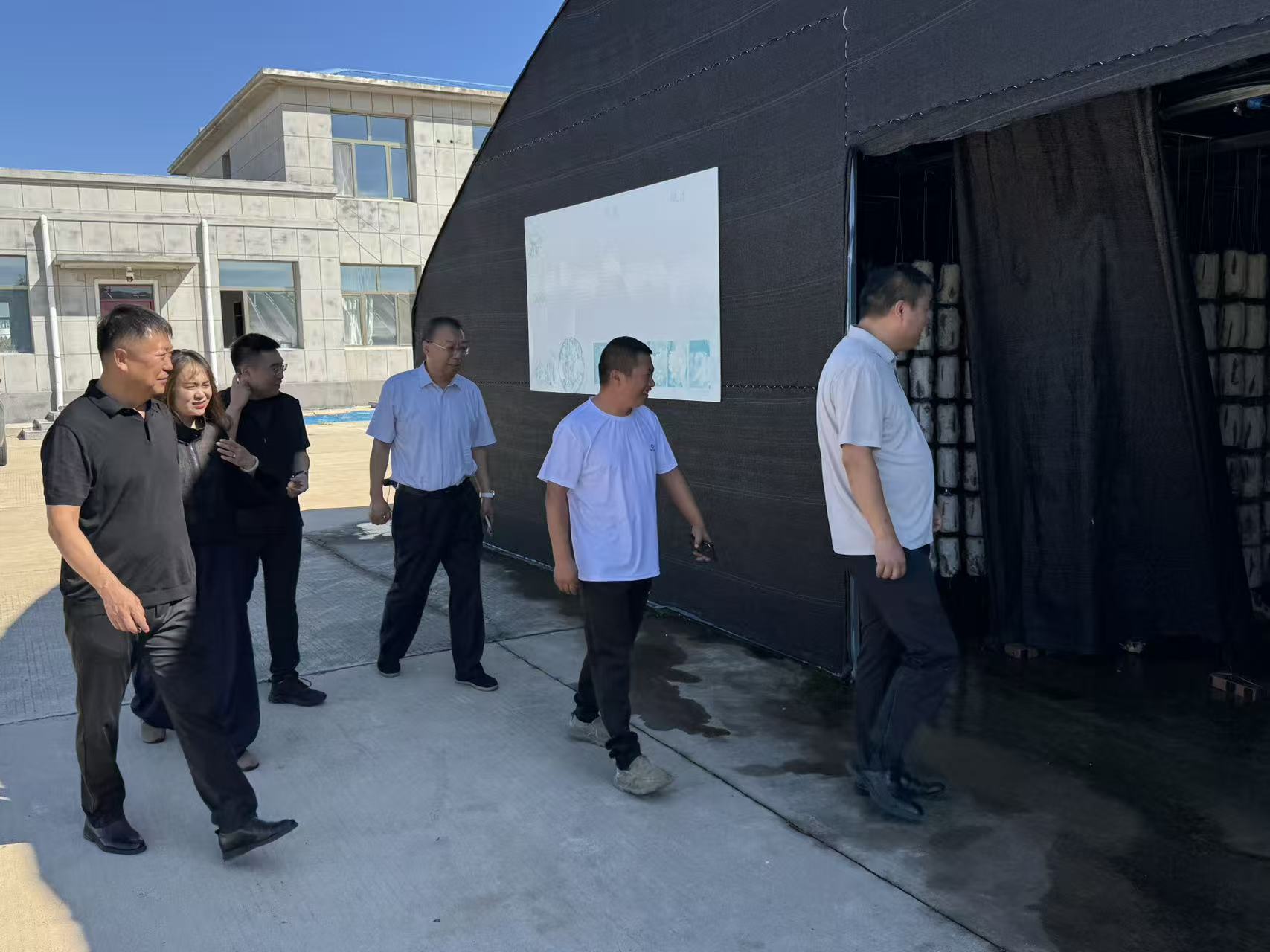 女人与公狍交酡女免费