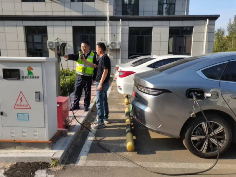 女人与公狍交酡女免费