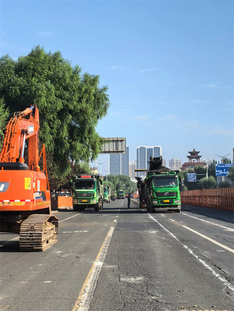 女人与公狍交酡女免费